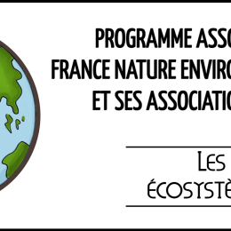 Programme Associatif