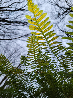 Photo 16 : L'envers du décor - SAUNEUF Barbara